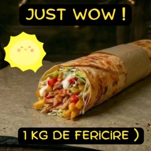 Kebab de 1 KG !